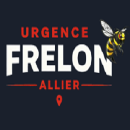 Urgence Frelons Allier